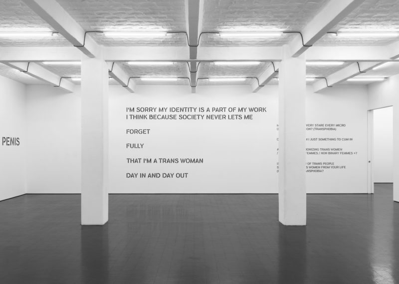 Installation view of a text piece, black text on a white wall reads, "I’M SORRY MY IDENTITY IS A PART OF MY WORK/ I THINK BECAUSE SOCIETY NEVER LETS ME/ FORGET/ FULLY/ THAT I’M A TRANS WOMAN/ DAY IN AND DAY OUT"