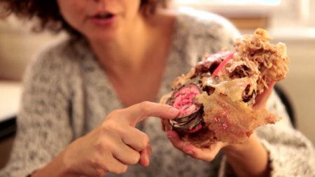 Mika Rottenberg and the Amazing Invention Factory